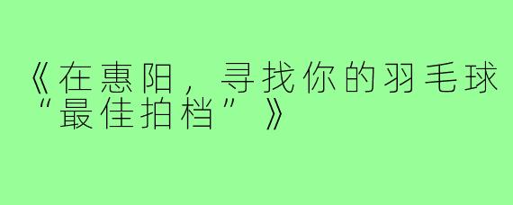 《在惠阳，寻找你的羽毛球“最佳拍档”》