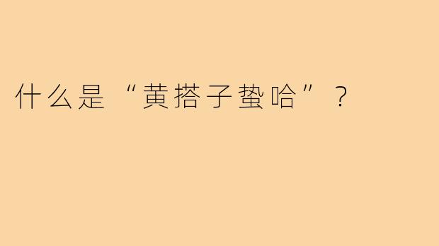 什么是“黄搭子蛰哈”？