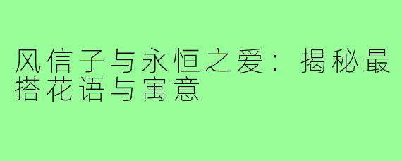 风信子与永恒之爱:揭秘最搭花语与寓意