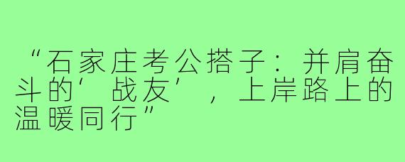 “石家庄考公搭子：并肩奋斗的‘战友’，上岸路上的温暖同行”