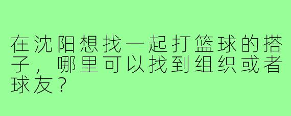 在沈阳想找一起打篮球的搭子,哪里可以找到组织或者球友?