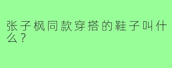 张子枫同款穿搭的鞋子叫什么?