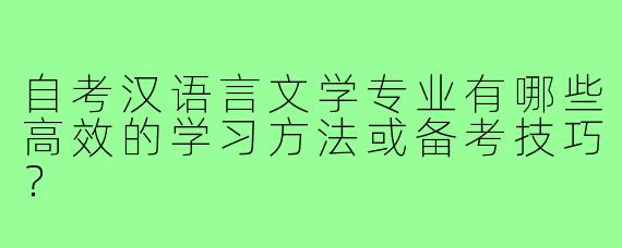 自考汉语言文学专业有哪些高效的学习方法或备考技巧?