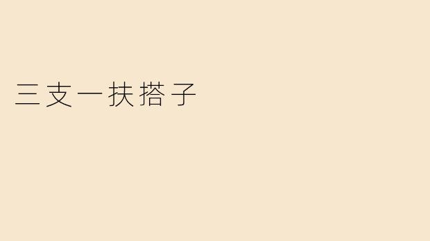 三支一扶搭子
