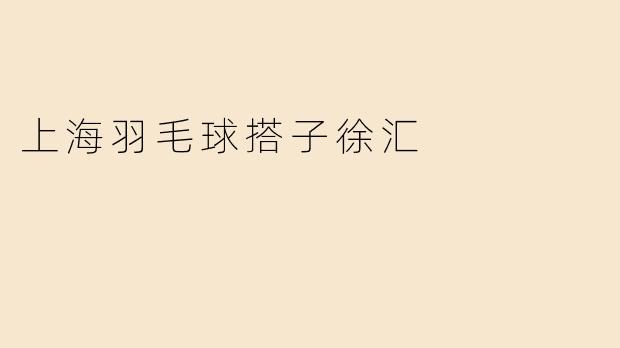 上海羽毛球搭子徐汇