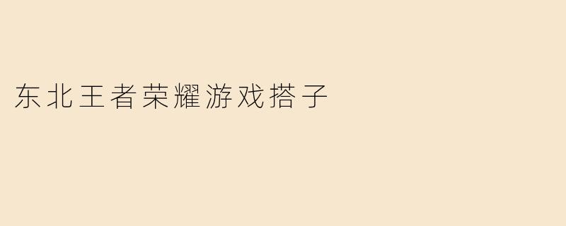 东北王者荣耀游戏搭子