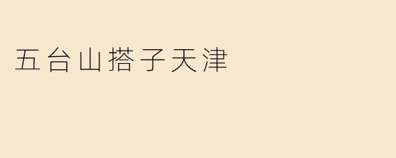 五台山搭子天津