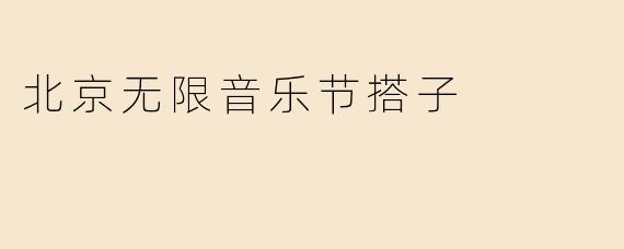 北京无限音乐节搭子