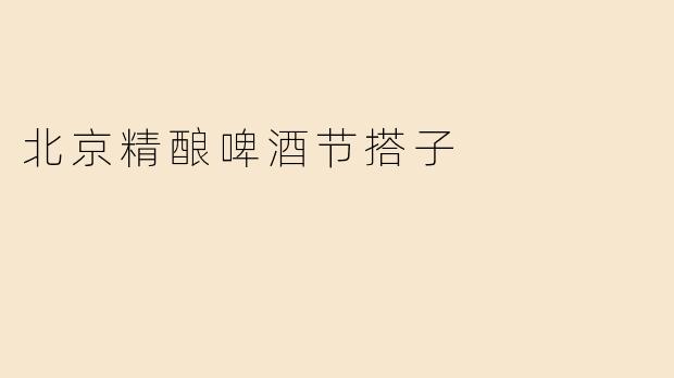 北京精酿啤酒节搭子