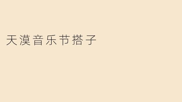 天漠音乐节搭子