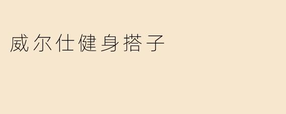 威尔仕健身搭子