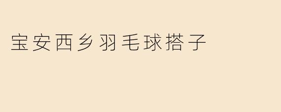宝安西乡羽毛球搭子