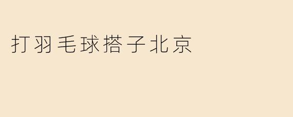 打羽毛球搭子北京