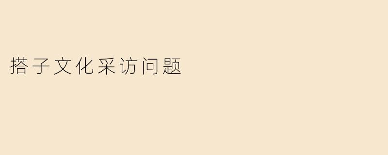 搭子文化采访问题