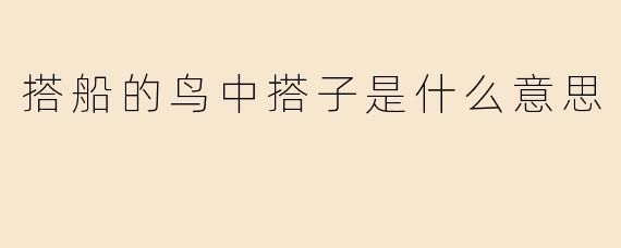 搭船的鸟中搭子是什么意思