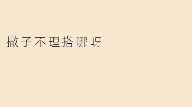撒子不理搭哪呀