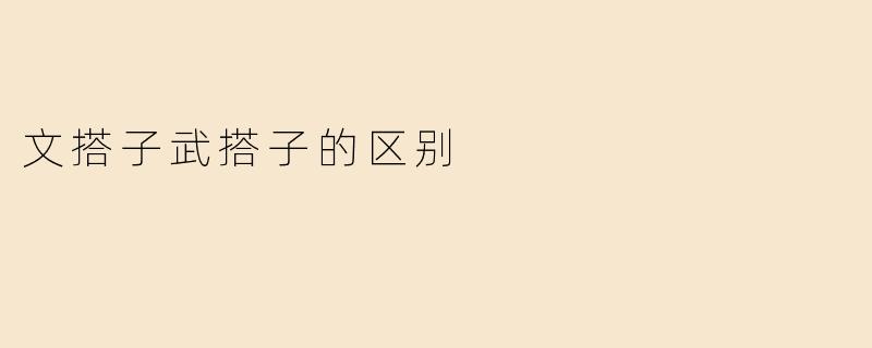 文搭子武搭子的区别