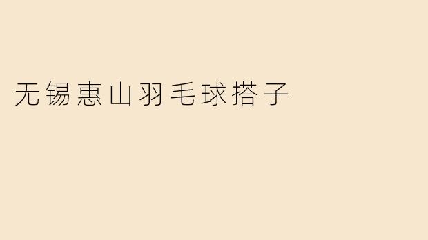 无锡惠山羽毛球搭子