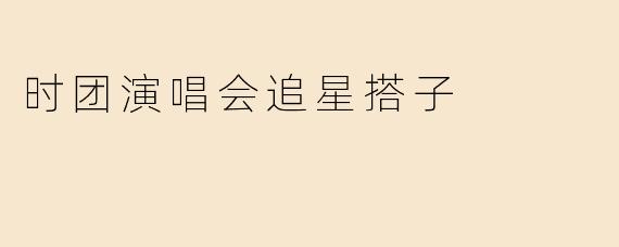 时团演唱会追星搭子
