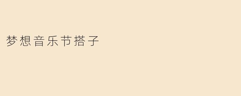 梦想音乐节搭子