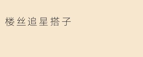 楼丝追星搭子