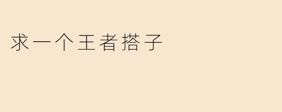 求一个王者搭子