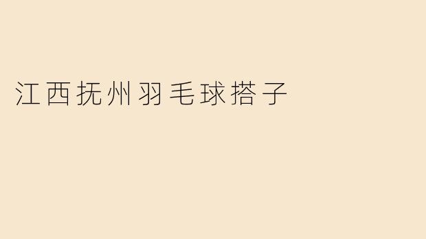 江西抚州羽毛球搭子