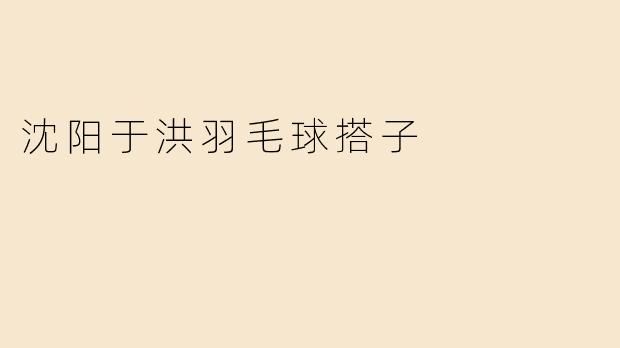 沈阳于洪羽毛球搭子