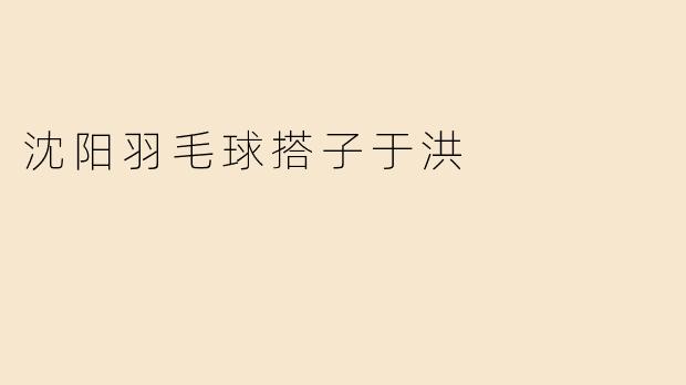 沈阳羽毛球搭子于洪