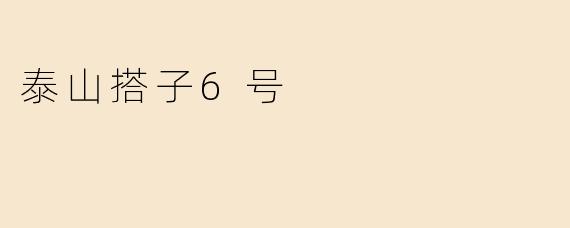 泰山搭子6号