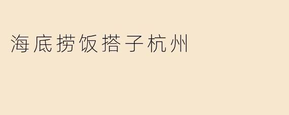 海底捞饭搭子杭州