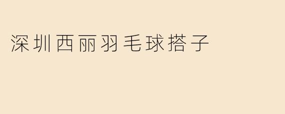 深圳西丽羽毛球搭子