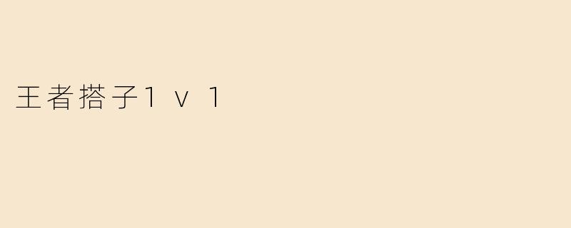 王者搭子1v1