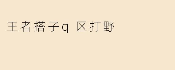王者搭子q区打野