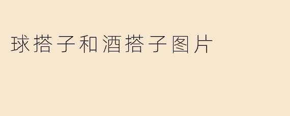 "球搭子和酒搭子有什么区别？"