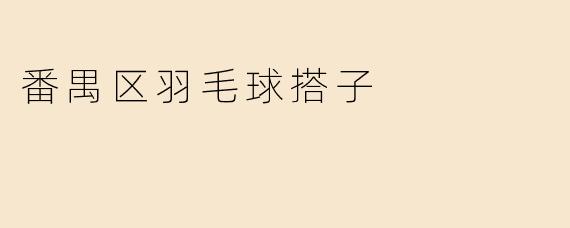 番禺区羽毛球搭子
