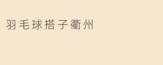 羽毛球搭子衢州