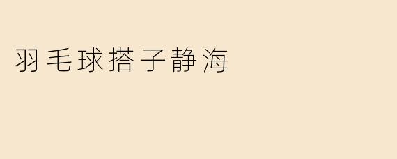 羽毛球搭子静海