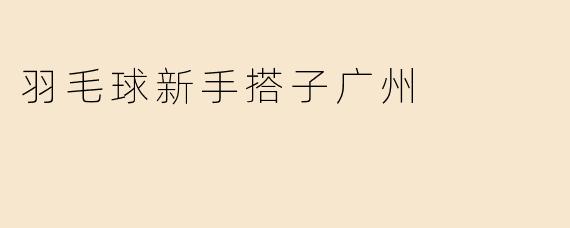 羽毛球新手搭子广州