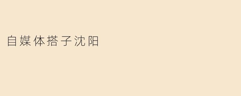 自媒体搭子沈阳