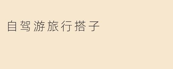 自驾游旅行搭子