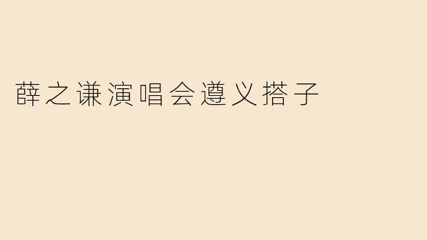 薛之谦演唱会遵义搭子