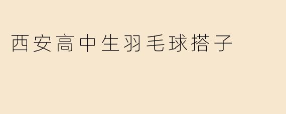 西安高中生羽毛球搭子