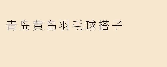青岛黄岛羽毛球搭子