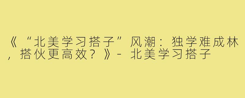 《“北美学习搭子”风潮：独学难成林，搭伙更高效？》-北美学习搭子
