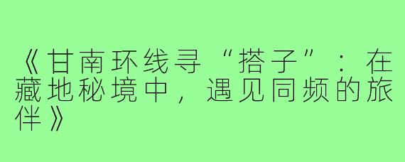 《甘南环线寻“搭子”：在藏地秘境中，遇见同频的旅伴》