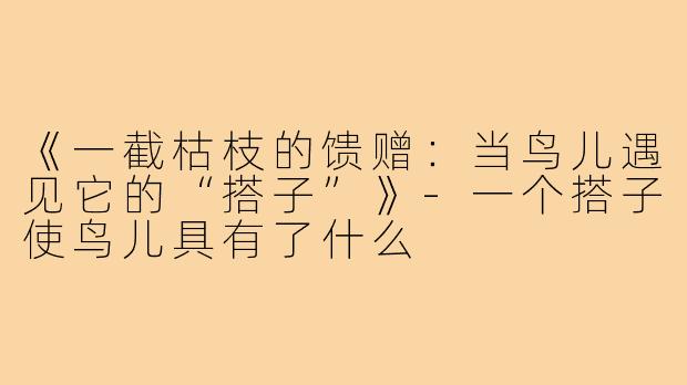 《一截枯枝的馈赠:当鸟儿遇见它的“搭子”》-一个搭子使鸟儿具有了什么