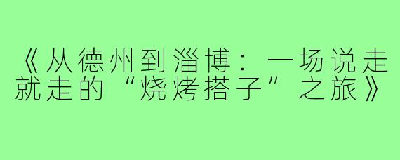《从德州到淄博:一场说走就走的“烧烤搭子”之旅》