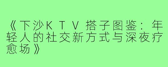 《下沙KTV搭子图鉴:年轻人的社交新方式与深夜疗愈场》