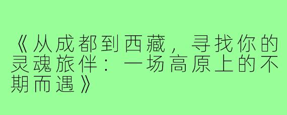 《从成都到西藏，寻找你的灵魂旅伴：一场高原上的不期而遇》